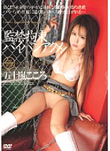 Confinement Restraint Shaved Pussy Acme Kokoro Igarashi