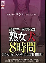 Goro Tameike 5th Anniversary Milf Dog 8 Hours SPECIAL COMPLETE BEST - Yumi Kazama