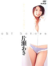 I am a Perverted Kitten Nyan Katase Aki