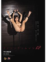 Iron Crimson 12 Serina Hayakawa