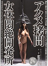 Acme play Women's Faints In Agony Development Office Mitsui Towa