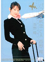 Barely mosaic Pakopako Airlines CA Sho Nishino