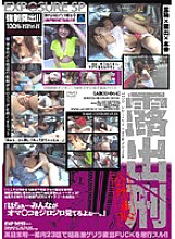 Exposure Punishment Public Shame