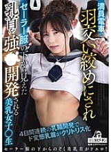 Beautiful schoolgirl Miogawa Haruka is bullied on a crowded train and has her nipples exposed under her sailor uniform forcibly developed