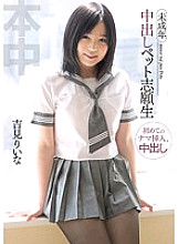 Creampie Pet Volunteer Riina Yoshimi