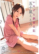 Naughty Breeding Diary Kokoro Igarashi
