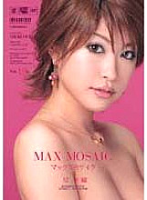 Max Mosaic VOL.16 Miori Hoshi