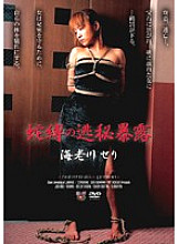 Ebikawa Seri Revealing Snake Tied Up Secrets