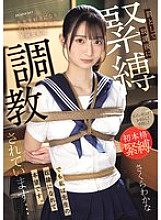 I fell in love with my teacher and confessed my feelings to him, so as punishment I am being tied up and trained after school... But I am happy to be his slave. Wakana Sakura I fell in love with my teacher and confessed my feelings to him, so as punishment I am being tied up and trained after school... But I am happy to be his slave. Wakana Sakura