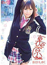 Urahara style Shizuku Hasegawa