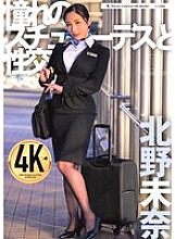 Sex with the Stewardess of My Dreams Kitano Mina