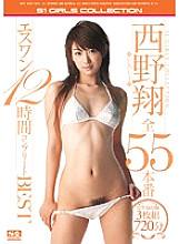 Sho Nishino S1 All 55 Productions 12 Hours Complete BEST