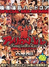 little bad american babaa