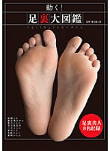 Move! Foot sole encyclopedia - Mayu Sato