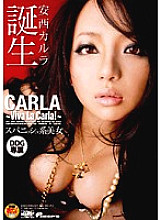 Birth of a Spanish Beauty Carla Anzai - Anzai Carla