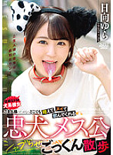 A loyal female dog who will suck it in her mouth and drink it anywhere for her master. Yura Hinata takes a walk and swallows cum.