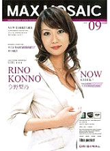 Max Mosaic VOL.09 Rino Konno