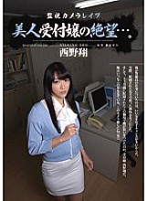 Surveillance camera Les ● Despair of a beautiful receptionist ... Sho Nishino