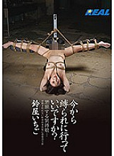 Can I go tied up from now on? Suzuya Ichigo