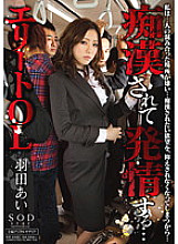 Gets horny after being molested... Elite office lady Haneda Ai